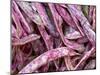 Borlotti Beans-Dirk Olaf Wexel-Mounted Photographic Print