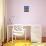 Bormes Les Mimosas, Provence, France, Europe-Nelly Boyd-Photographic Print displayed on a wall