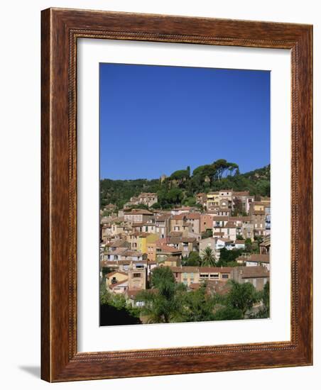 Bormes Les Mimosas, Provence, France, Europe-Nelly Boyd-Framed Photographic Print