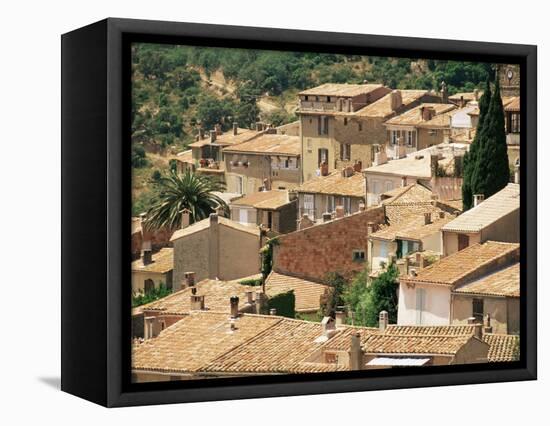 Bormes Les Mimosas, Var, Provence, France-Michael Busselle-Framed Premier Image Canvas