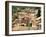 Bormes Les Mimosas, Var, Provence, France-Michael Busselle-Framed Photographic Print