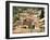 Bormes Les Mimosas, Var, Provence, France-Michael Busselle-Framed Photographic Print