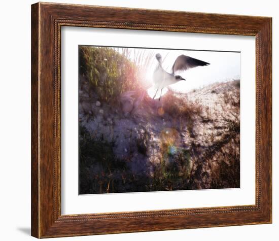 Born Again-Steve Hunziker-Framed Art Print