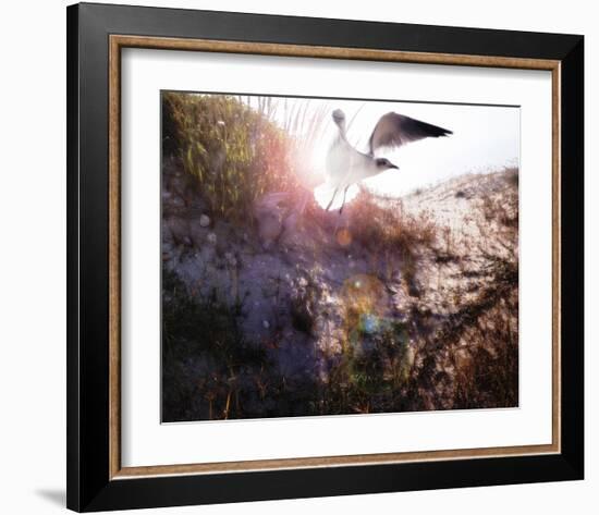 Born Again-Steve Hunziker-Framed Art Print