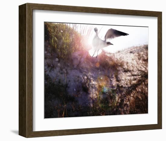 Born Again-Steve Hunziker-Framed Art Print