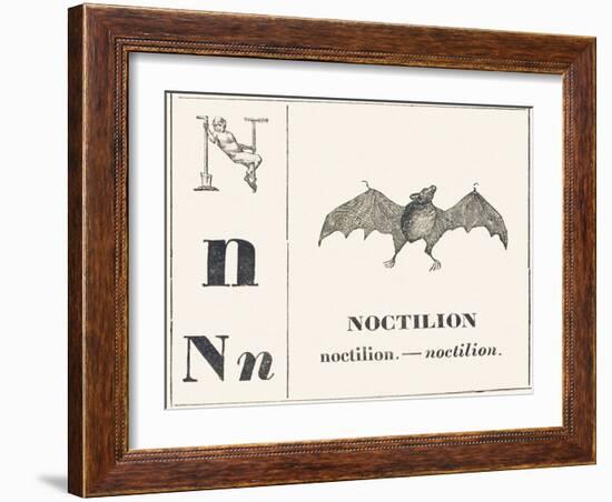 Born for Noctilion (Fishing Bat Native to Latin America), 1850 (Engraving)-Louis Simon (1810-1870) Lassalle-Framed Giclee Print