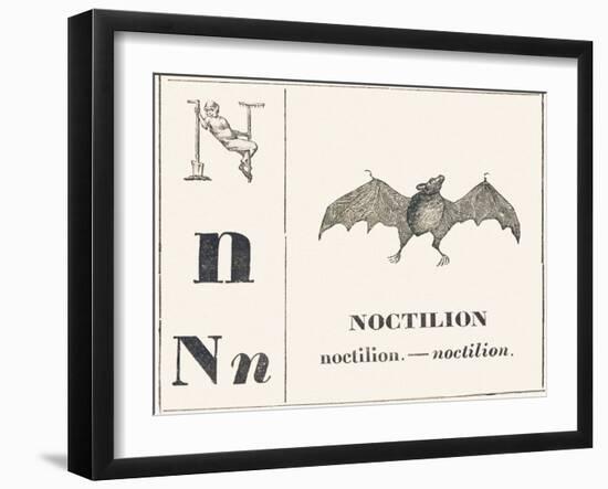 Born for Noctilion (Fishing Bat Native to Latin America), 1850 (Engraving)-Louis Simon (1810-1870) Lassalle-Framed Giclee Print