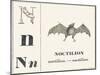 Born for Noctilion (Fishing Bat Native to Latin America), 1850 (Engraving)-Louis Simon (1810-1870) Lassalle-Mounted Giclee Print