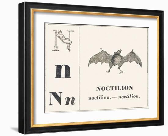 Born for Noctilion (Fishing Bat Native to Latin America), 1850 (Engraving)-Louis Simon (1810-1870) Lassalle-Framed Giclee Print