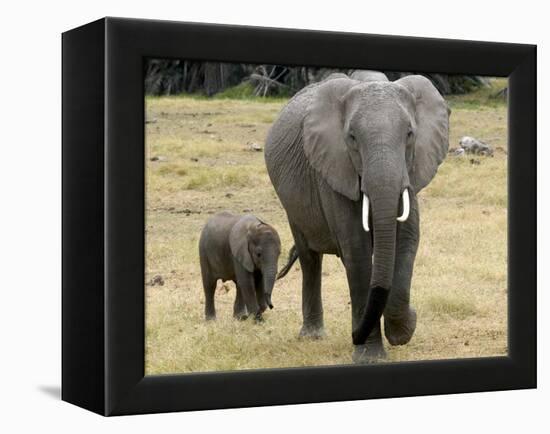 Born Free Charity, Kenya, September 2004-null-Framed Premier Image Canvas