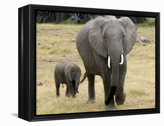 Born Free Charity, Kenya, September 2004-null-Framed Premier Image Canvas