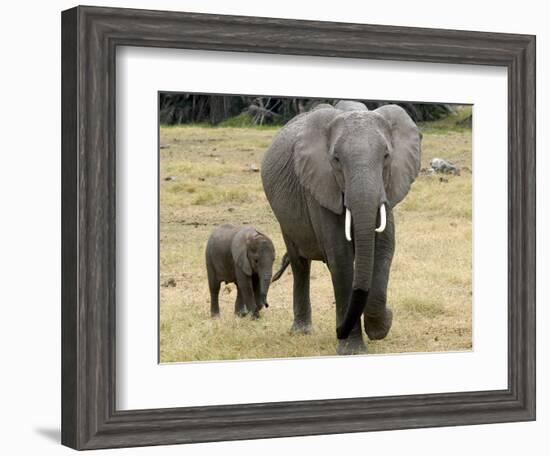 Born Free Charity, Kenya, September 2004-null-Framed Photographic Print