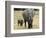 Born Free Charity, Kenya, September 2004-null-Framed Photographic Print