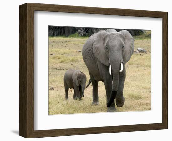 Born Free Charity, Kenya, September 2004-null-Framed Photographic Print