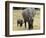 Born Free Charity, Kenya, September 2004-null-Framed Photographic Print