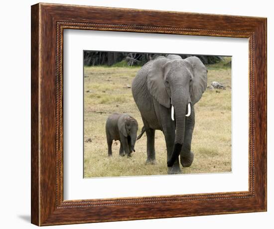 Born Free Charity, Kenya, September 2004-null-Framed Photographic Print