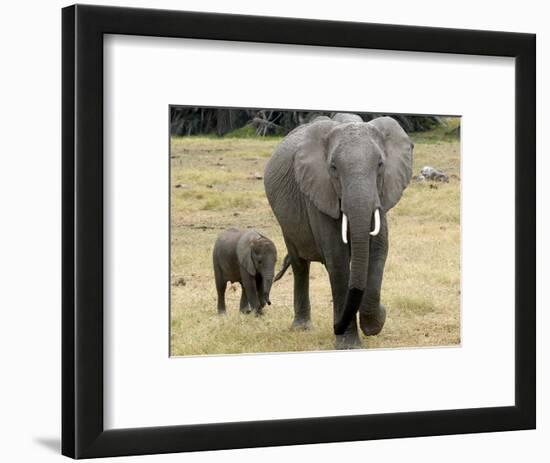 Born Free Charity, Kenya, September 2004-null-Framed Photographic Print