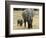 Born Free Charity, Kenya, September 2004-null-Framed Photographic Print