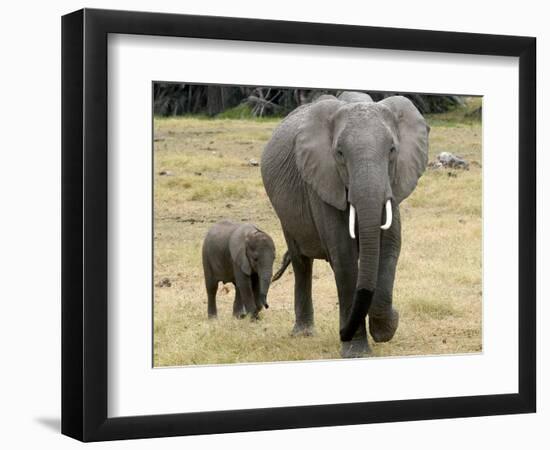 Born Free Charity, Kenya, September 2004-null-Framed Photographic Print