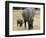 Born Free Charity, Kenya, September 2004-null-Framed Photographic Print