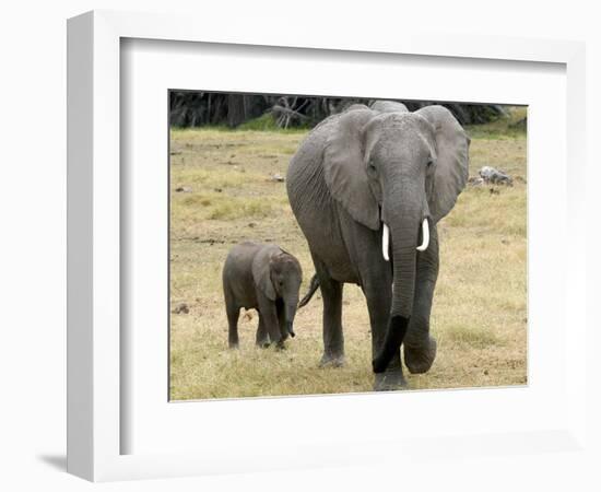 Born Free Charity, Kenya, September 2004-null-Framed Photographic Print