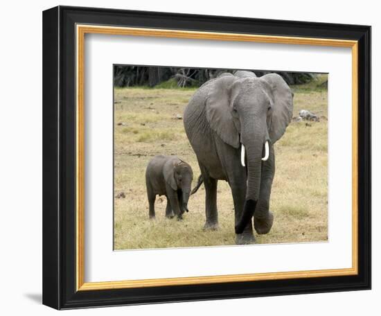 Born Free Charity, Kenya, September 2004-null-Framed Photographic Print