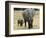 Born Free Charity, Kenya, September 2004-null-Framed Photographic Print