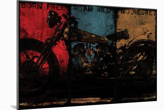 Born Free Multi-Eric Yang-Mounted Art Print