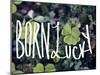 Born Lucky-Leah Flores-Mounted Giclee Print
