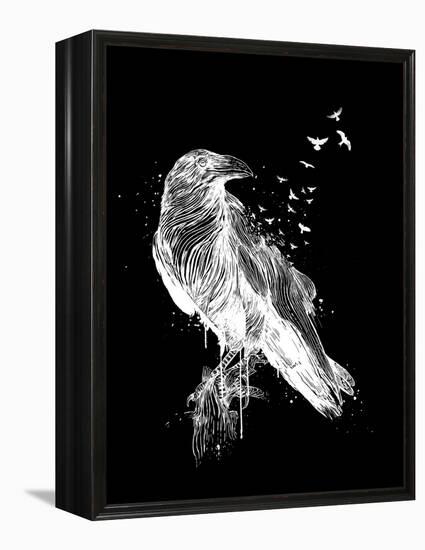 Born to Be Free (Dark)-Balazs Solti-Framed Premier Image Canvas