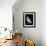 Born to Be Free (Dark)-Balazs Solti-Framed Giclee Print displayed on a wall