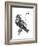 Born to Be Free-Balazs Solti-Framed Giclee Print