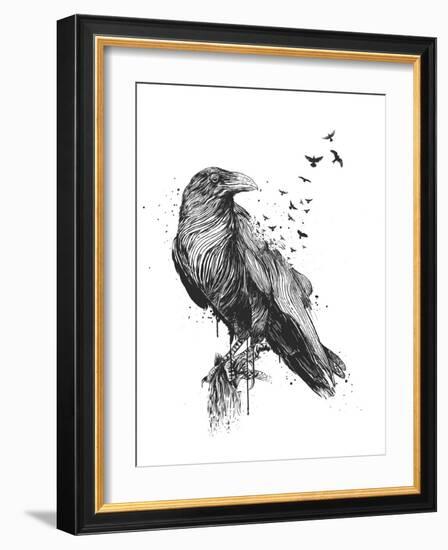 Born to Be Free-Balazs Solti-Framed Giclee Print