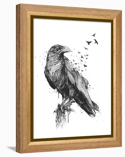 Born to Be Free-Balazs Solti-Framed Premier Image Canvas