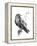 Born to Be Free-Balazs Solti-Framed Premier Image Canvas