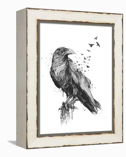 Born to Be Free-Balazs Solti-Framed Premier Image Canvas