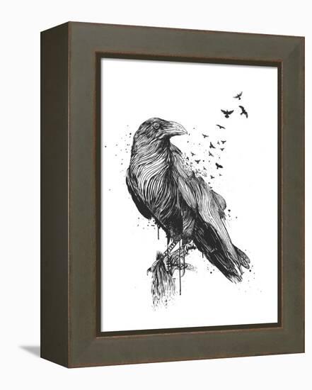 Born to Be Free-Balazs Solti-Framed Premier Image Canvas
