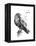 Born to Be Free-Balazs Solti-Framed Premier Image Canvas