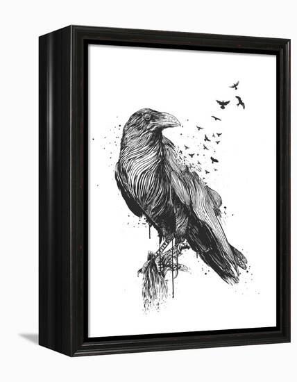 Born to Be Free-Balazs Solti-Framed Premier Image Canvas