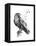 Born to Be Free-Balazs Solti-Framed Premier Image Canvas