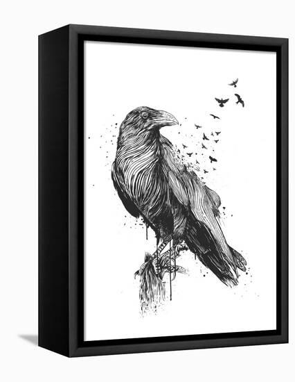 Born to Be Free-Balazs Solti-Framed Premier Image Canvas