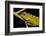 Bornean Angle-headed Lizard on branch in rainforest, Borneo-Alex Hyde-Framed Photographic Print