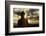 Borobudur Buddhist Temple, UNESCO World Heritage Site, Java, Indonesia, Southeast Asia-Angelo-Framed Photographic Print