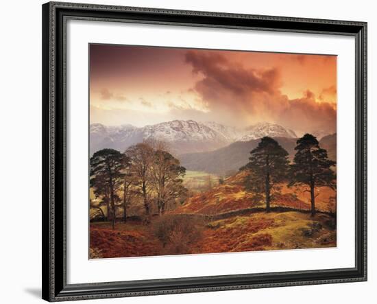 Borrowdale, Lake District, Cumbria, England-Peter Adams-Framed Photographic Print