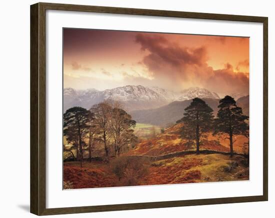 Borrowdale, Lake District, Cumbria, England-Peter Adams-Framed Photographic Print