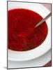 Borscht, a Traditional Russian Beetroot Soup, Moscow, Russia, Europe-Yadid Levy-Mounted Photographic Print