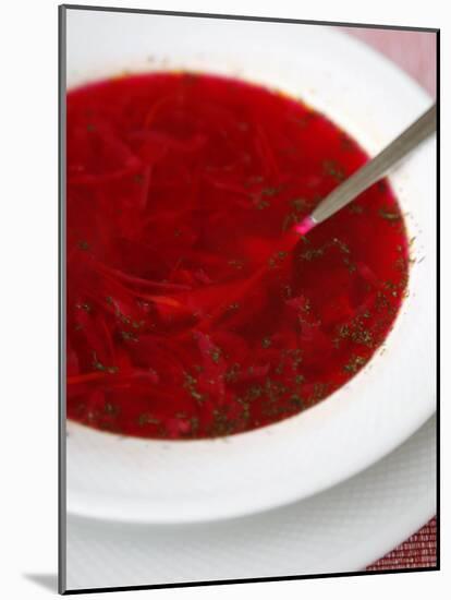 Borscht, a Traditional Russian Beetroot Soup, Moscow, Russia, Europe-Yadid Levy-Mounted Photographic Print