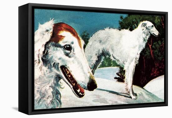 Borzoi-English School-Framed Premier Image Canvas