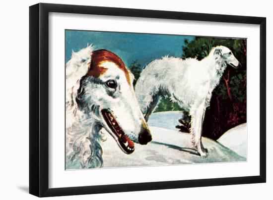 Borzoi-English School-Framed Giclee Print