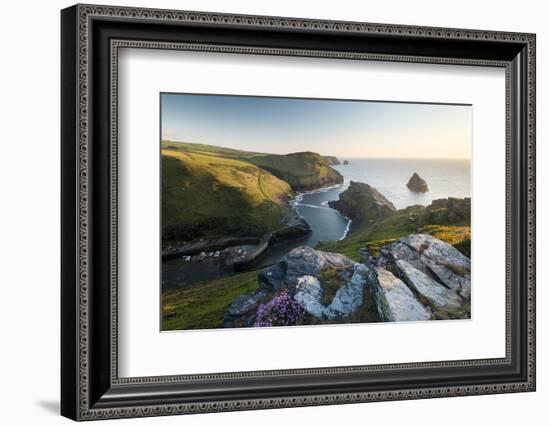 Boscastle harbour and coastline, Cornwall, UK-Ross Hoddinott-Framed Photographic Print